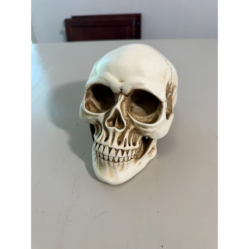 Decorative Skull Halloween Accent Realistic Gothic Spooky Decor 7" Skull - Picture 7 of 8